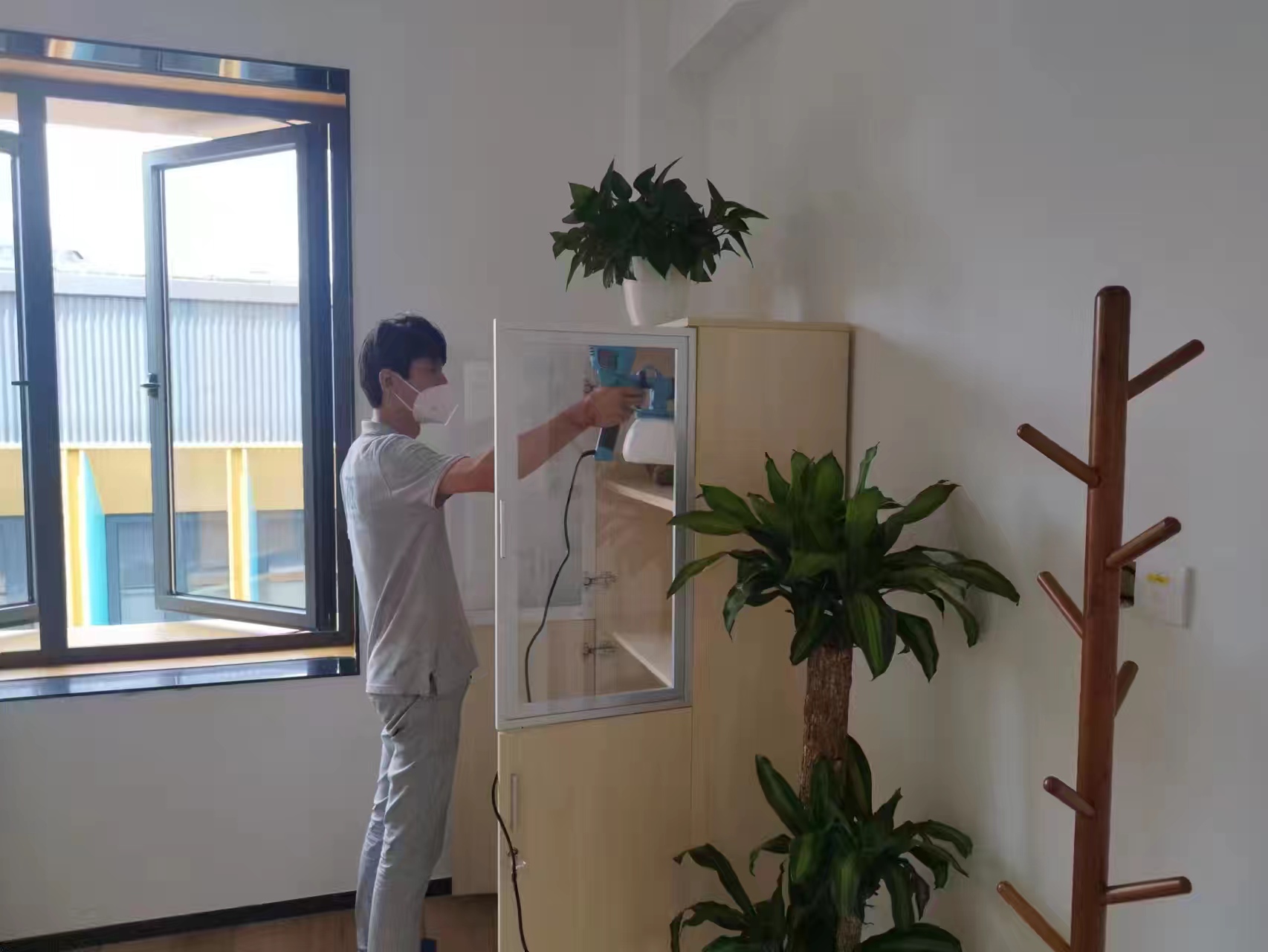 辦公室怎么種植綠植