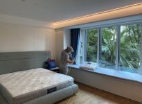 綠蘿能不能凈化室內(nèi)空氣