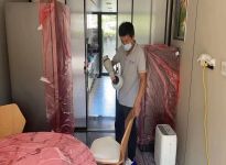 甲醛的危害及清除方法？